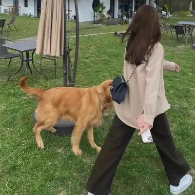 追捕迷宫杀手